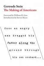 Cover art for Making of Americans (American Literature (Dalkey Archive))