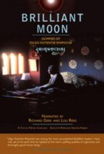 Cover art for Brilliant Moon