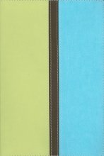 Cover art for NIV Giant Print Compact Bible, Melon Green / Turquoise