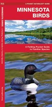 Cover art for Minnesota Birds: A Folding Pocket Guide to Familiar Species (Wildlife and Nature Identification)