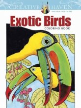 Cover art for Creative Haven Exotic Birds Coloring Book (Creative Haven Coloring Books)