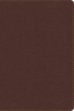 Cover art for RVR 1960 Biblia de Estudio Arco Iris, chocolate símil piel con índice (Spanish Edition)