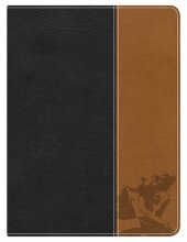 Cover art for Apologetics Study Bible for Students, Black/Tan LeatherTouch