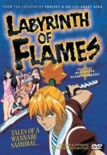 Cover art for Labyrinth of Flames