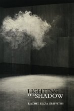 Cover art for Lighting the Shadow