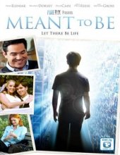 Cover art for Meant to Be: A right to Life Parable