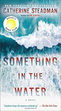 Cover art for Something in the Water: A Novel