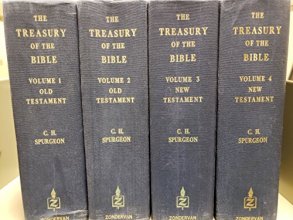Cover art for The treasury of the Bible