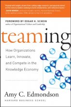 Cover art for Teaming: How Organizations Learn, Innovate, and Compete in the Knowledge Economy