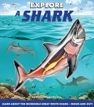Cover art for Explore a Shark