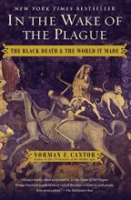 Cover art for In the Wake of the Plague: The Black Death and the World It Made