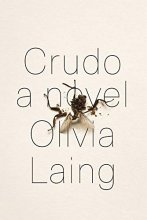 Cover art for Crudo: A Novel