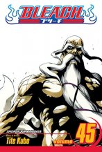 Cover art for Bleach, Vol. 45