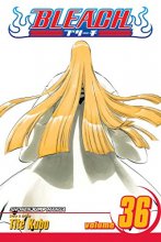 Cover art for Bleach, Vol. 36