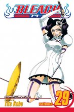 Cover art for Bleach, Vol. 29
