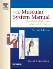 Cover art for The Muscular System Manual: The Skeletal Muscles of the Human Body, 2nd Edition