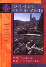 Cover art for Encountering the New Testament: A Historical and Theological Survey with CDROM (Encountering Biblical Studies)