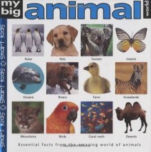 Cover art for My Big Animal World Book (My Big Reference)
