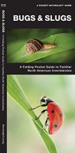 Cover art for Bugs & Slugs: A Folding Pocket Guide to Familiar North American Invertebrates (A Pocket Naturalist Guide)