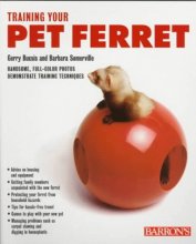 Cover art for Training Your Pet Ferret (Training Your Pet Series)