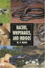 Cover art for Racers, Whipsnakes and Indigos (Herpetology Series)