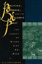 Cover art for Politics, Gender, and the Islamic Past