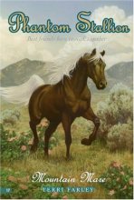 Cover art for Mountain Mare (Phantom Stallion #17)