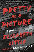 Cover art for Pretty as a Picture: A Novel