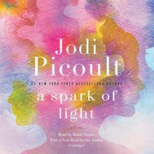 Cover art for A Spark of Light: A Novel