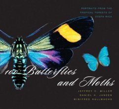 Cover art for 100 Butterflies and Moths: Portraits from the Tropical Forests of Costa Rica