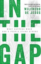 Cover art for In the Gap: What Happens When Gods People Stand Strong