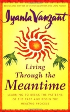 Cover art for Living Through the Meantime : Learning to Break the Patterns of the Past and Begin the Healing Process