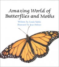Cover art for Amazing World Of Butterflies... - Pbk