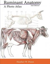 Cover art for Ruminant Anatomy: A Photo Atlas