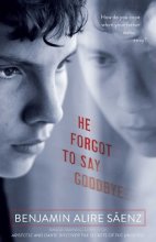 Cover art for He Forgot to Say Goodbye