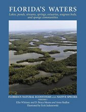 Cover art for Florida's Waters (Florida's Natural Ecosystems and Native Species)
