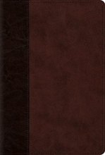 Cover art for The Psalms, ESV (TruTone over Board, Brown/Walnut, Timeless Design)