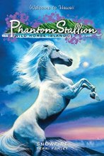 Cover art for Snowfire (Phantom Stallion: Wild Horse Island #9)