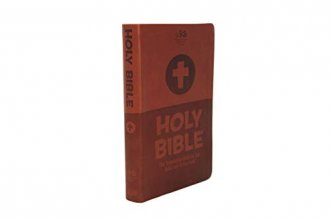 Cover art for ICB, Children's Holy Bible, Leathersoft, Brown: International Children's Bible