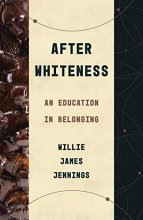Cover art for After Whiteness: An Education in Belonging (Theological Education between the Times)
