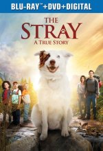Cover art for The Stray [Blu-ray]