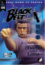 Cover art for Shaolin Against Lama