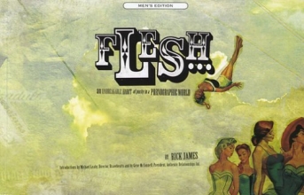 Cover art for Flesh: An Unbreakable Habit of Purity in a Pornographic World