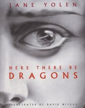 Cover art for Here There Be Dragons