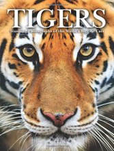 Cover art for Tigers