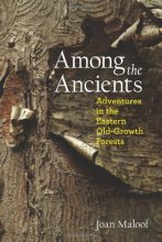 Cover art for Among the Ancients: Adventures in the Eastern Old-Growth Forests