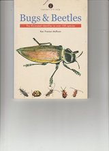 Cover art for Identifying Bugs and Beetles