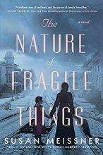 Cover art for The Nature of Fragile Things