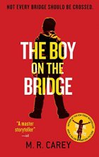 Cover art for The Boy on the Bridge
