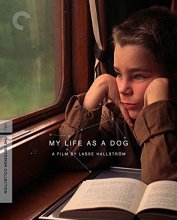 Cover art for My Life as a Dog (The Criterion Collection) [Blu-ray]